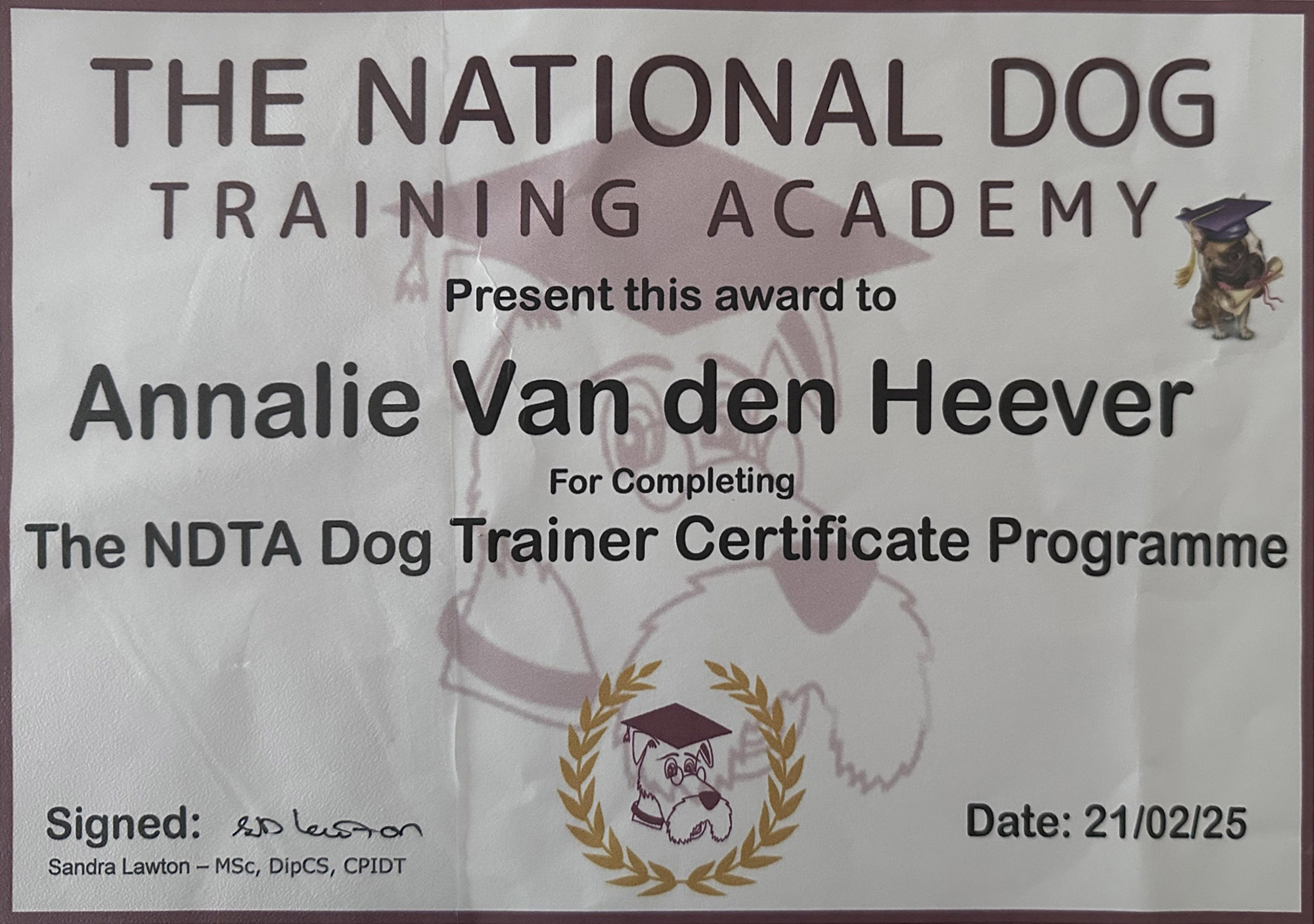 The National Dog Training Academy Award 2